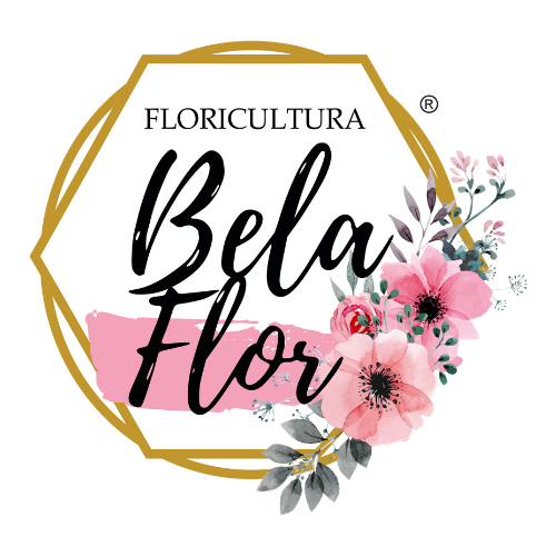 Bela Flor Logo